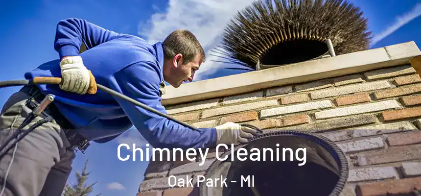  Chimney Cleaning Oak Park - MI